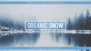 Organic Snow Overlays