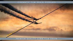 Premium Kodak Tri-X Reversal Film Grain Overlay